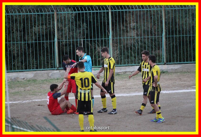 181111 Cepha_Milazzo 312_tn.JPG